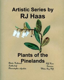 Plants of the Pineland Cards